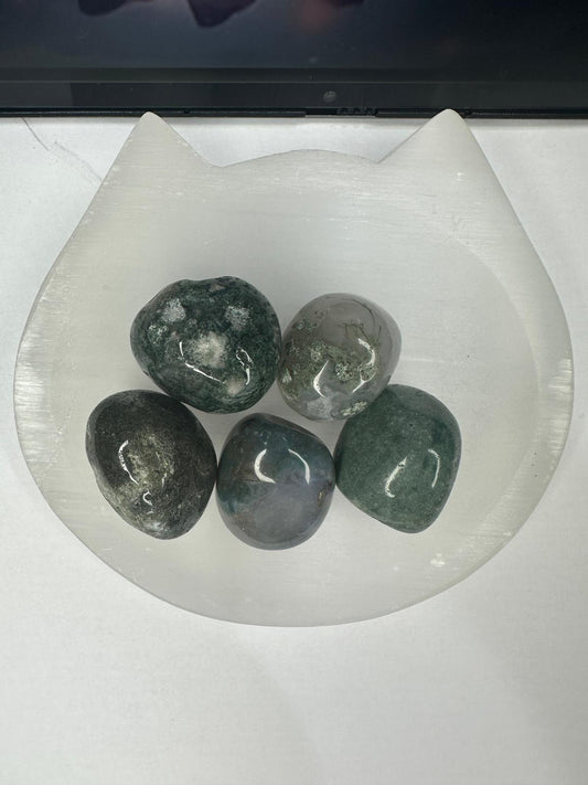 Moss Agate Tumble Stone