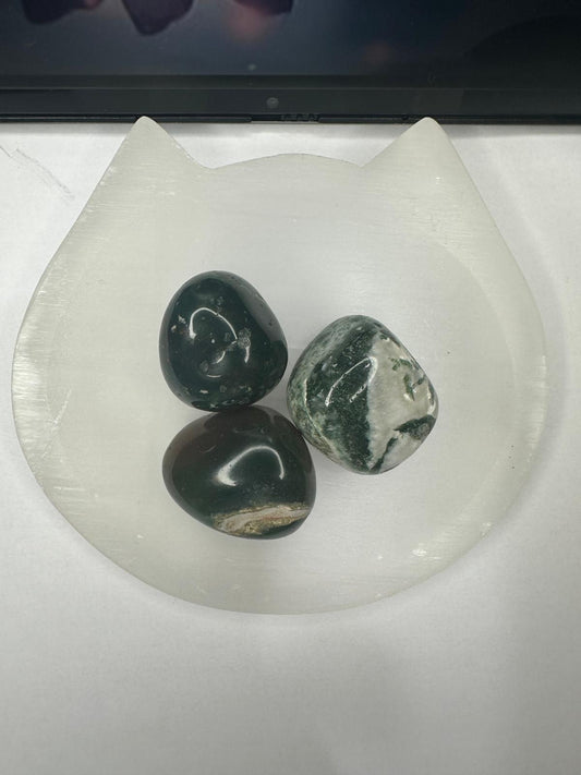 Tree Agate Tumble Stone